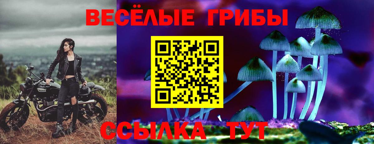 Кисловодск  Псилоцибиновые грибы Psilocybine cubensis  Вход с VPN  Галлюциногенные грибы прущие грибы 
